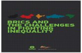 BRICS and the challenges in fighting inequalities