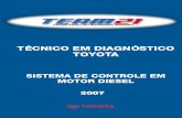 Toyota   técnico em diagnóstico toyota 2007