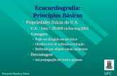 1 AULA DE CARDIO - ECOCARDIOGRAMA - PROF. RICARDO (22-02-10)