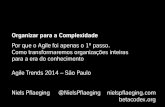 Organizar para a Complexidade. Keynote de Niels Pflaeging no Agile Trends 2014 (Sao Paulo/BR)