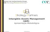 Apresentação  Metodologia Intangible Assets Management  DOM Strategy Partners 2009