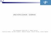 SEBRAE/RJ - Redes Sociais - DIG5