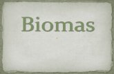Biomas Em Ifsp