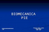 Biomecanica Pie