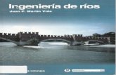 Ingenieria de Rios (Martin Vide)