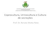 Aula coprocultura, urinocultura e cultura de secreções