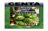 2003. CENTA. Guía Técnica del Cultivo de Cocotero
