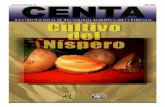 2003. CENTA. Guía Técnica del Cultivo de Níspero