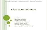 Câncer de Próstata