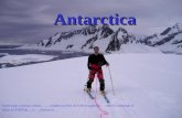 Antartica Maravilhosa Portaldarte