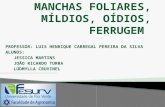 MANCHAS FOLIARES, MÍLDIOS, OÍDIOS, FERRUGEM