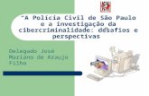 A Policia Civil de São Paulo e a investigação da cibercriminalidade: Desafios e Perspectivas