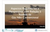Aspectos Regulatórios e Perspectivas com Relação à Rodada de Gás Não Convencional