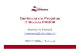 Projetos   gerenciar-o-modelo-pmbok