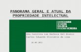 Panorama geral e atual da propriedade intelectual - na Carolina Del Bianco e Carlos Eduardo Eliziário de Lima