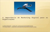 Marketing Digital Nas Redes Sociais - Importância Organizacional