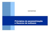 06 - Princípios de parametrização e Recurso de software_ots