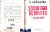 Felipe Augusto de Miranda Rosa. Sociologia Do Direito