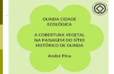 Olinda Cidade Ecológica - A Cobertura Vegetal na paisagem do Sítio Histórico de Olinda (André Pina)