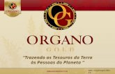 Organo Gold Brasil