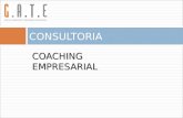 Consultoria Coaching Empresarial