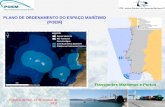 Plano de Ordenamento do Espaço Marítimo discutido na Figueira da Foz (José Cruz - IPTM)