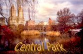 CENTRAL PARK  N. Y. - OUTONO
