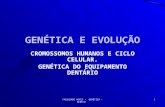 2.010.1cromossomos e Ciclo Celular (Prof. Renato Cabral)