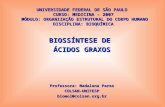02_biossíntese ácidos graxos