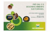RSE - Ponencia de Petrobras en la Conferencia Internacional Ethos 2010
