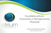 Eucaliptocultura: economia e planejamento florestal.