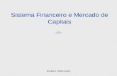 Sistema financeiro, mercado de capitais e contratos bancários aula c ej 18.02.2013