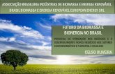 Futuro da Biomassa e Bioenergia no Brasil