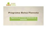 Joao tezza   programa bolsa floresta