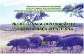 Projecto Porco Alentejano - ApresentaçãO (Proj. Agro-Pec.))
