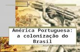 América portuguesa a colonização do brasil