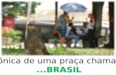 Crônica de uma praça chamada BRASIL