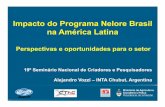 Impacto do Programa Nelore Brasil na América Latina