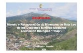Manejo Y RecuperacióN De Minerales De Baja Ley De Los Desechos Mineros Mediante