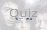 Harry Potter - O Jogo