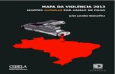 Mapa da violência 2013