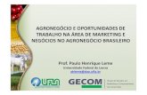 Marketing e qualidade   desafios do novo agronegócio brasileiro - versão 2013 - paulo henrique leme
