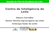 Apresentação Centro de Inteligência Leite reunião do Polo do Leite - 30-04-09