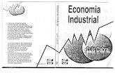 Luis Cabral - Economia Industrial