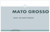 Cenrio Mato Grosso REDD+- Treinamento GCF/Amap