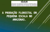 Debate Florestal: licenciamento e exploração florestal por IDAM