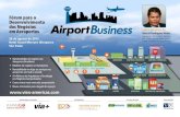 VIEX Airport Business 2013