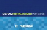 1 Municipio na federação braslileira - Erik Macedo Marques