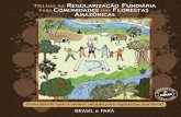 Trilhas da Regularização Fundiária para Comunidades nas Florestas Amazônicas