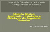 Anatomia e Histologia Do Segmento Anterior - Agosto 2011 - Fayad